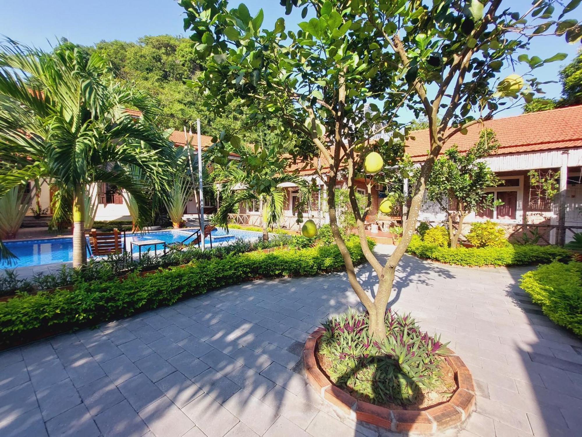 Ninh Binh Mountain Side Homestay & Cafe Exterior foto